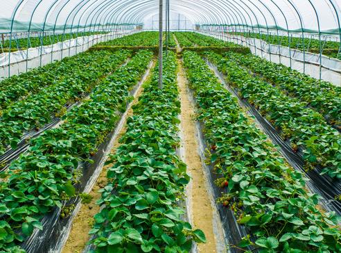 1565571557528079.jpg 360截圖20190812090633595.jpg