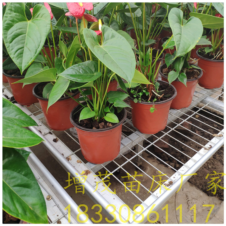 1599188326195647.jpg IMG_20190508_171903.jpg